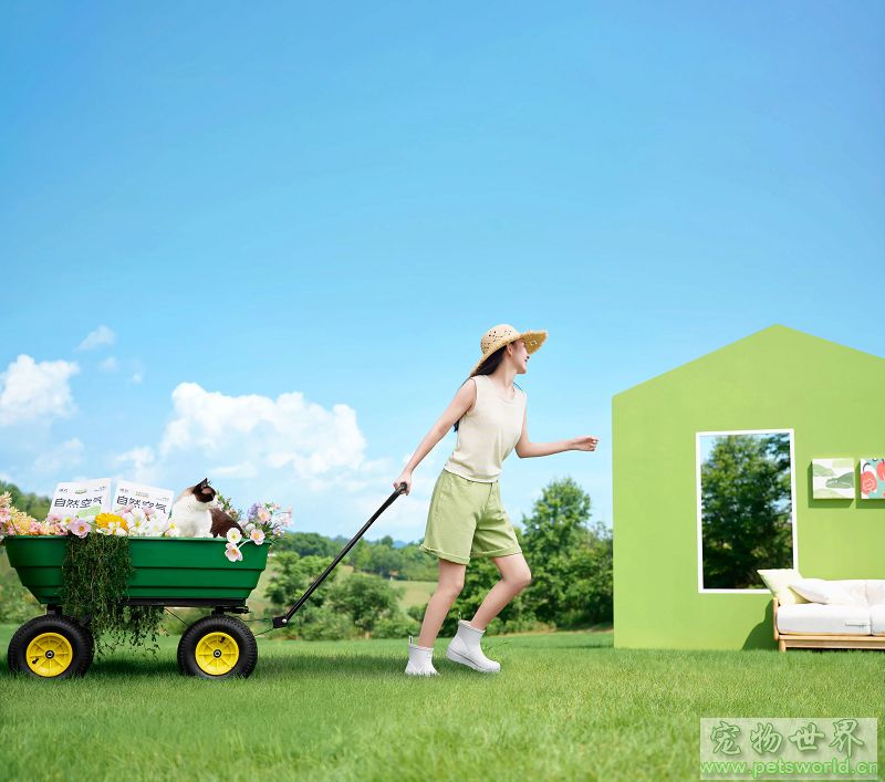 点此在新窗口浏览图片