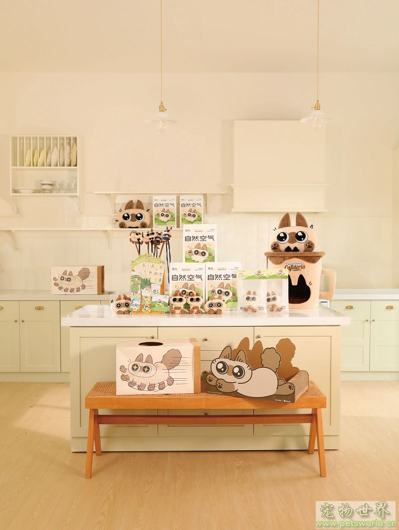 点此在新窗口浏览图片