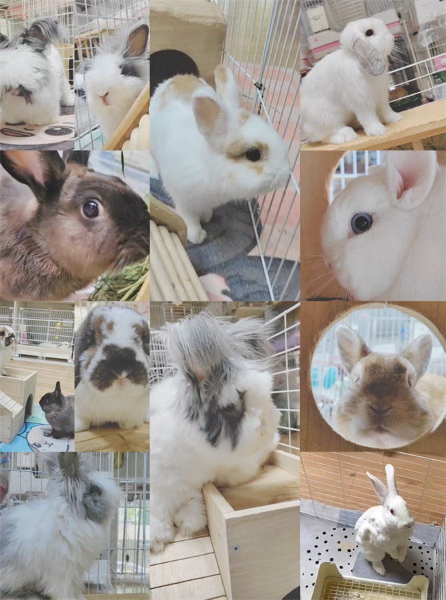 点此在新窗口浏览图片