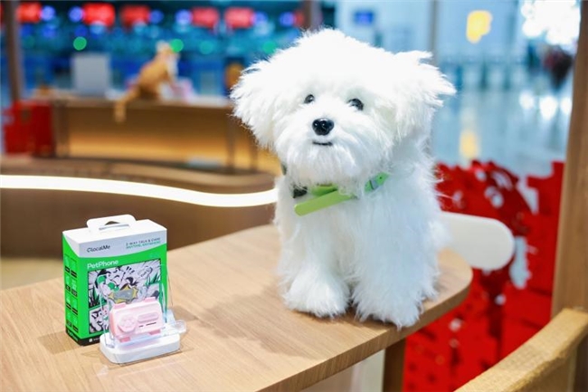 点此在新窗口浏览图片