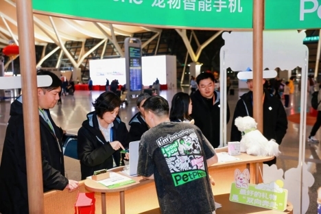 点此在新窗口浏览图片