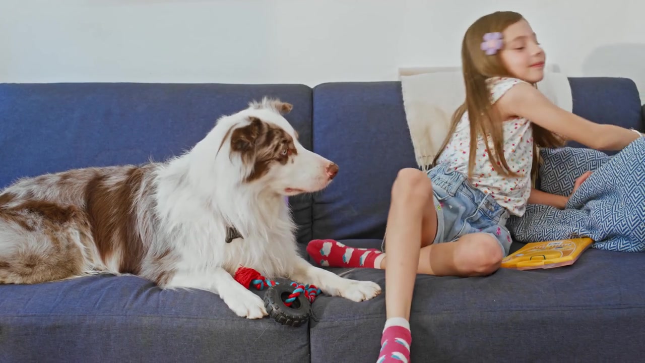 女孩与狗狗玩耍