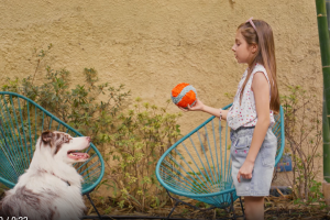 女孩与狗狗耍球