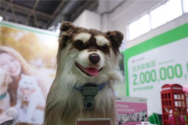 点此在新窗口浏览图片