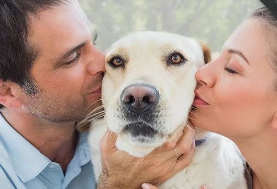 从星巴克爪布奇诺到友望猫咪代言：一场宠物友好营销的“升维战”