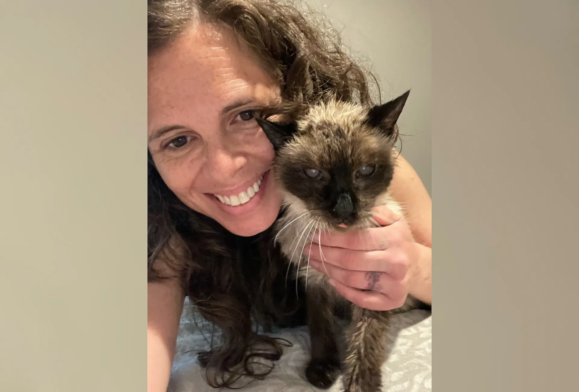 Jody Popham 与暹罗猫 June 重逢